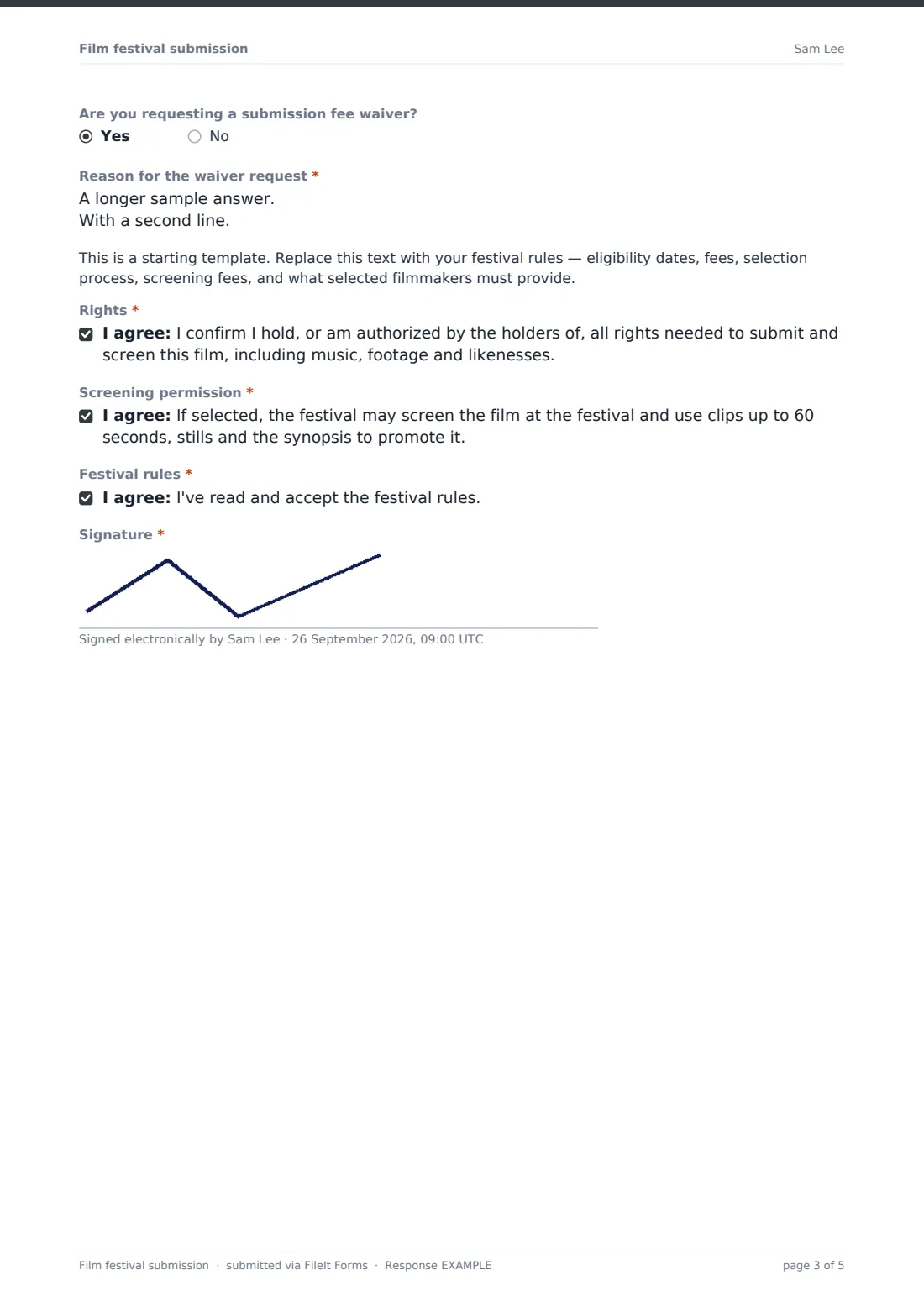 Film festival submission — example response PDF, page 3 of 5