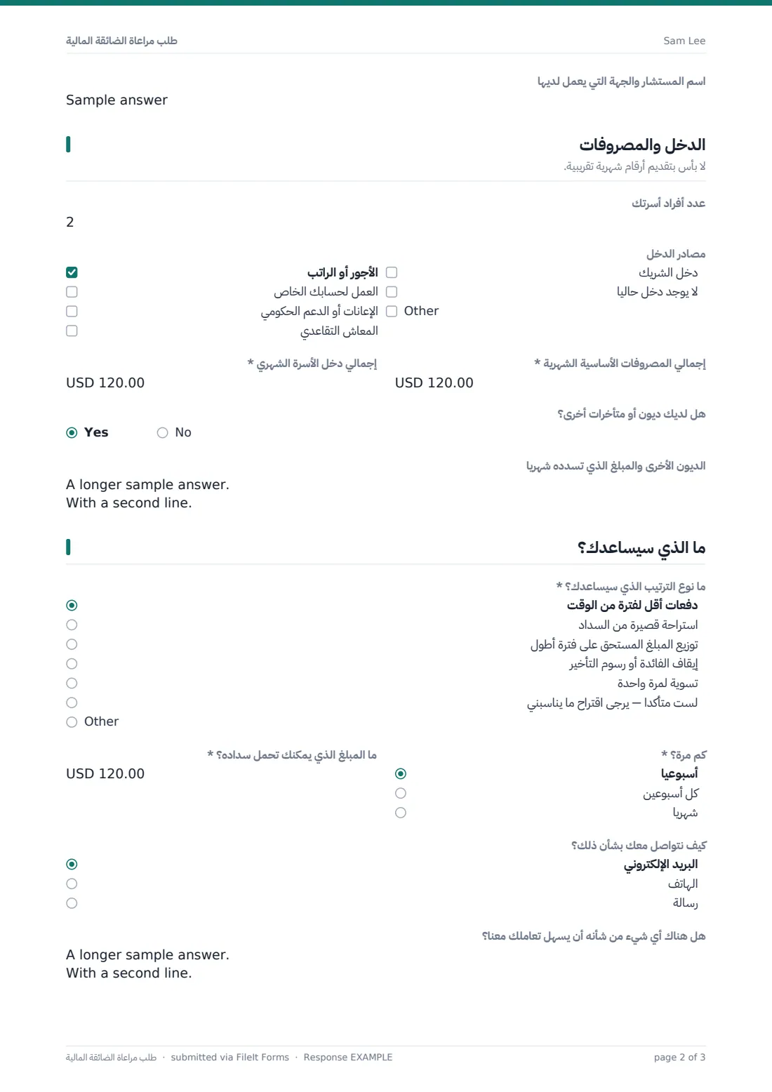 طلب مراعاة الضائقة المالية — ملف PDF لرد نموذجي، الصفحة 2 من 3