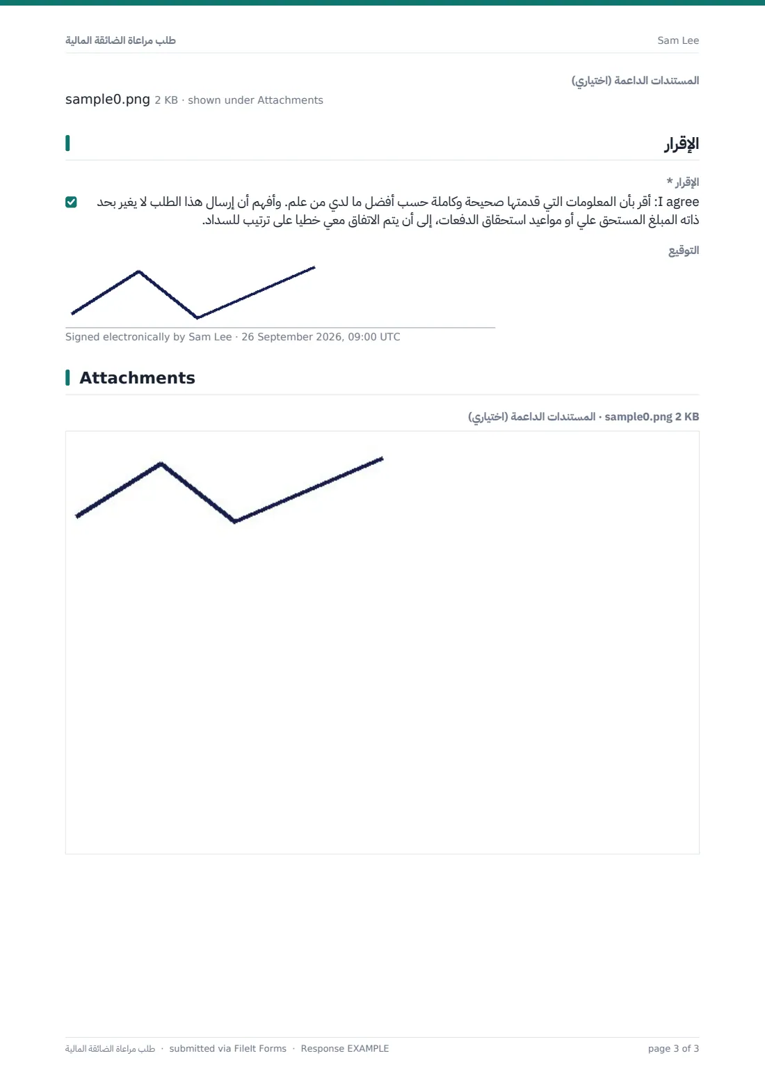 طلب مراعاة الضائقة المالية — ملف PDF لرد نموذجي، الصفحة 3 من 3