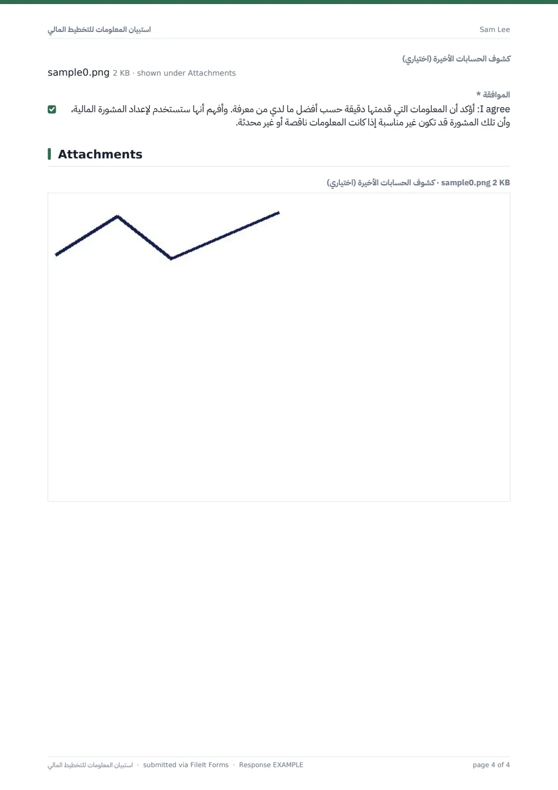 استبيان المعلومات للتخطيط المالي — ملف PDF لرد نموذجي، الصفحة 4 من 4