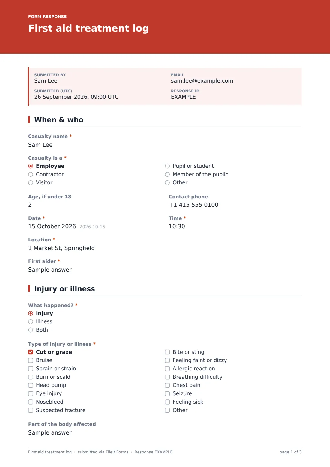 First aid treatment log — example response PDF, page 1 of 3