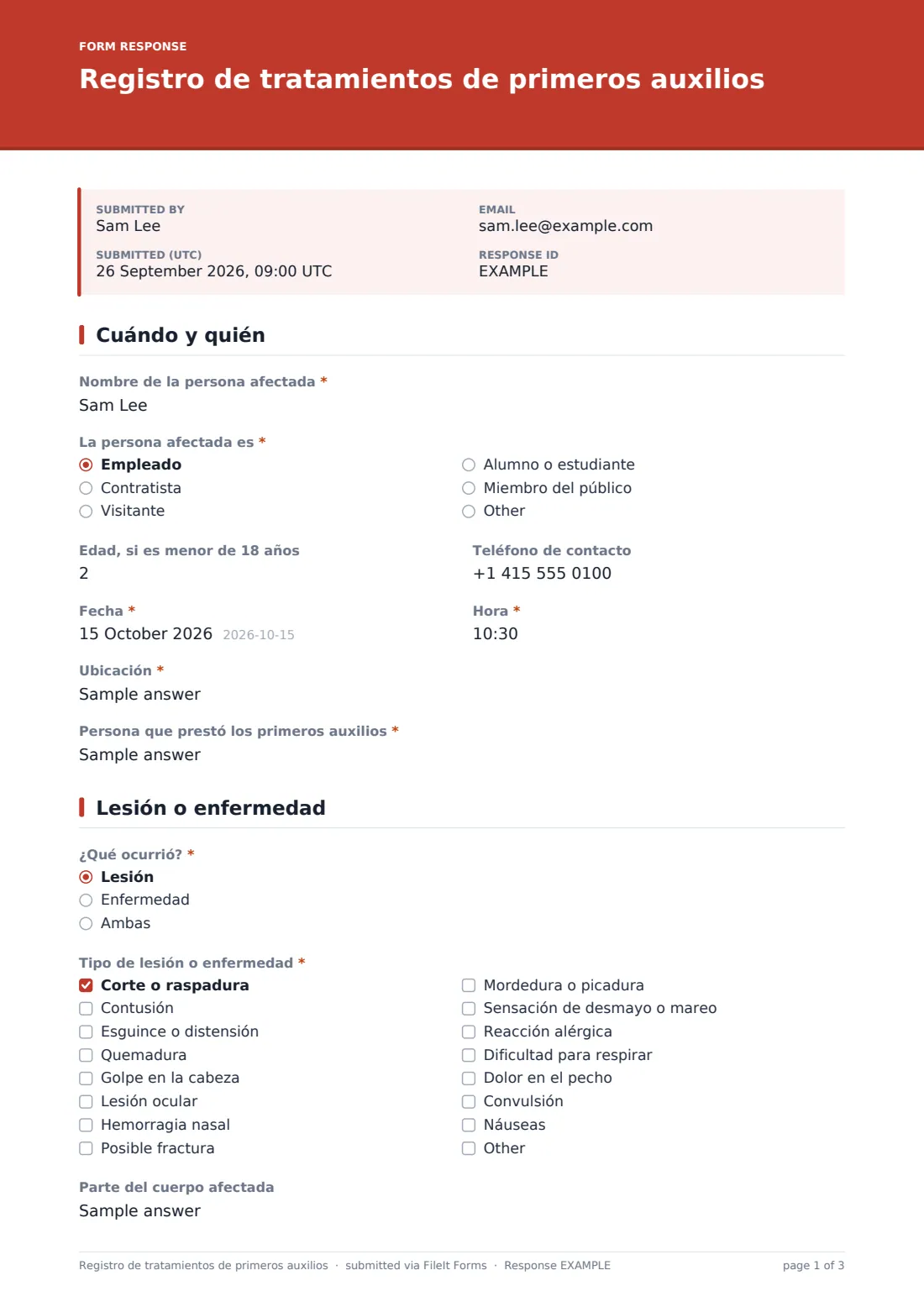 Registro de tratamientos de primeros auxilios — PDF de respuesta de ejemplo, página 1 de 3