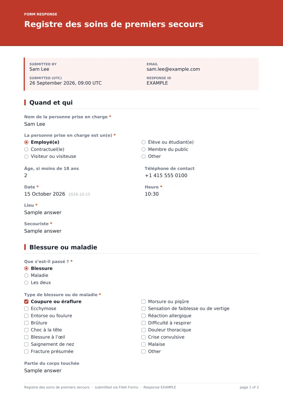 Registre des soins de premiers secours — exemple de réponse au format PDF, page 1 sur 3