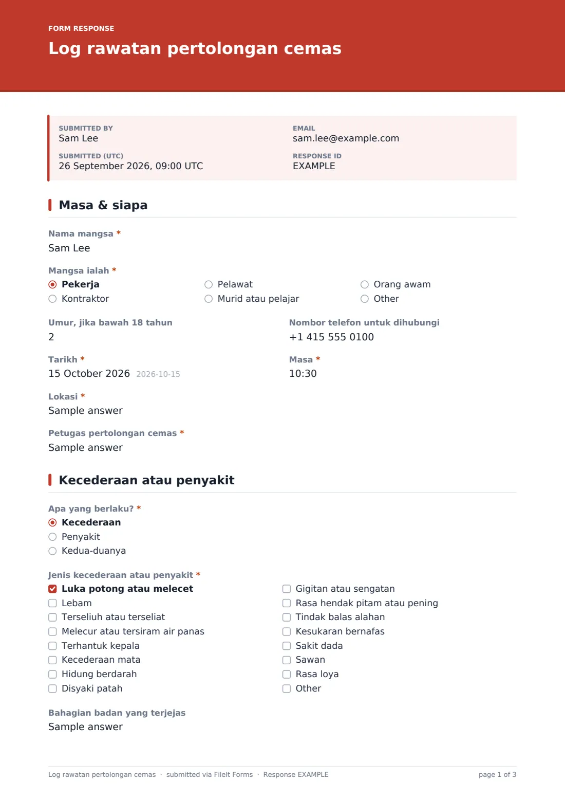 Log rawatan pertolongan cemas — PDF respons contoh, halaman 1 daripada 3
