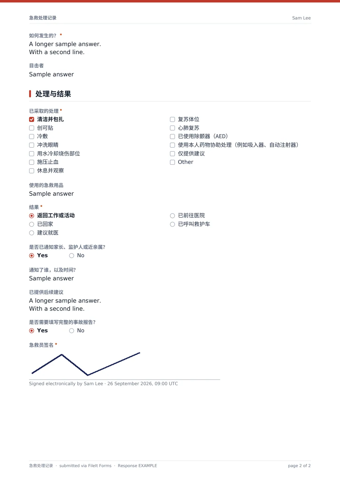 急救处理记录 — 示例回复 PDF，第 2 页，共 2 页