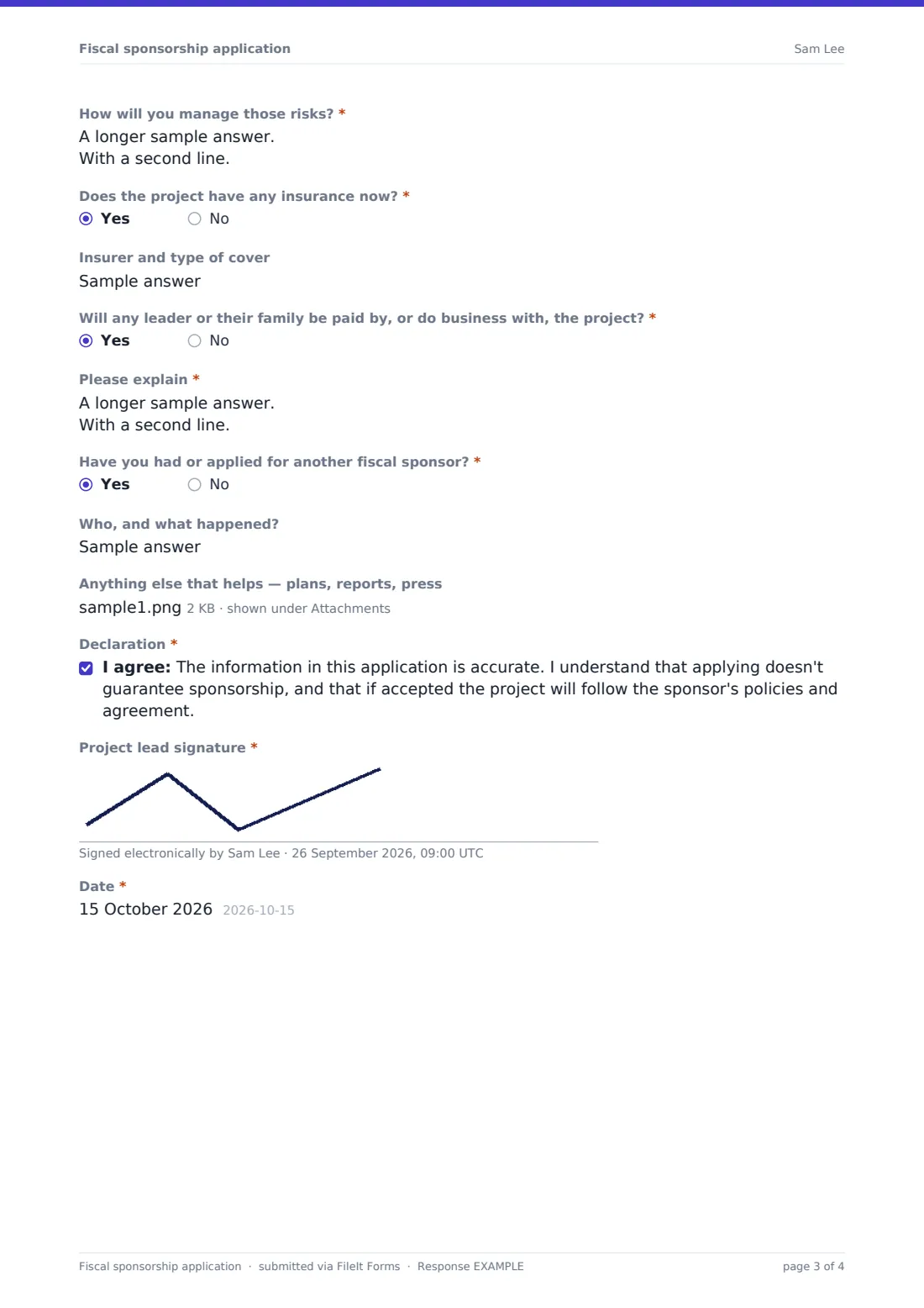 Fiscal sponsorship application — example response PDF, page 3 of 4