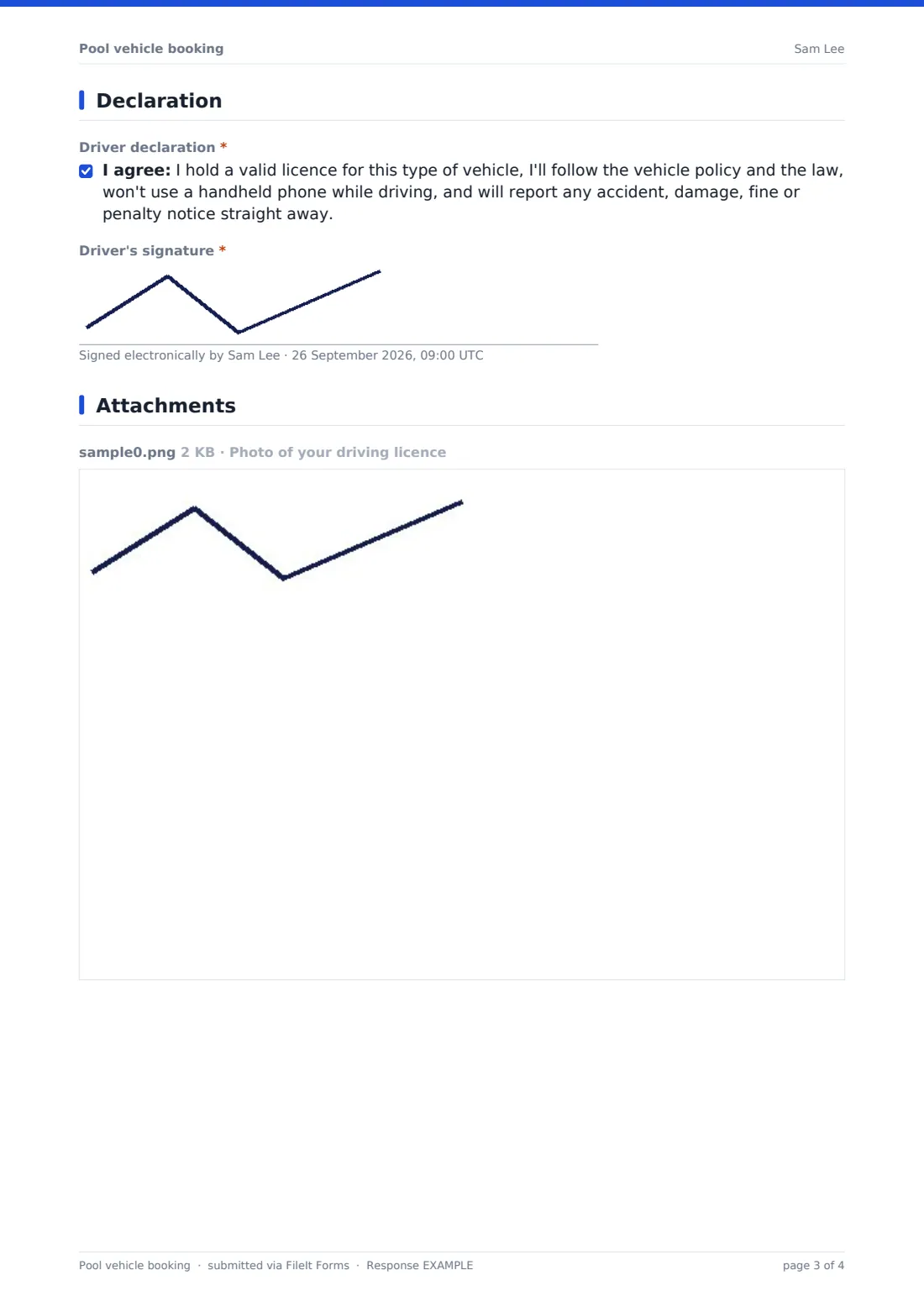 Pool vehicle booking — example response PDF, page 3 of 4