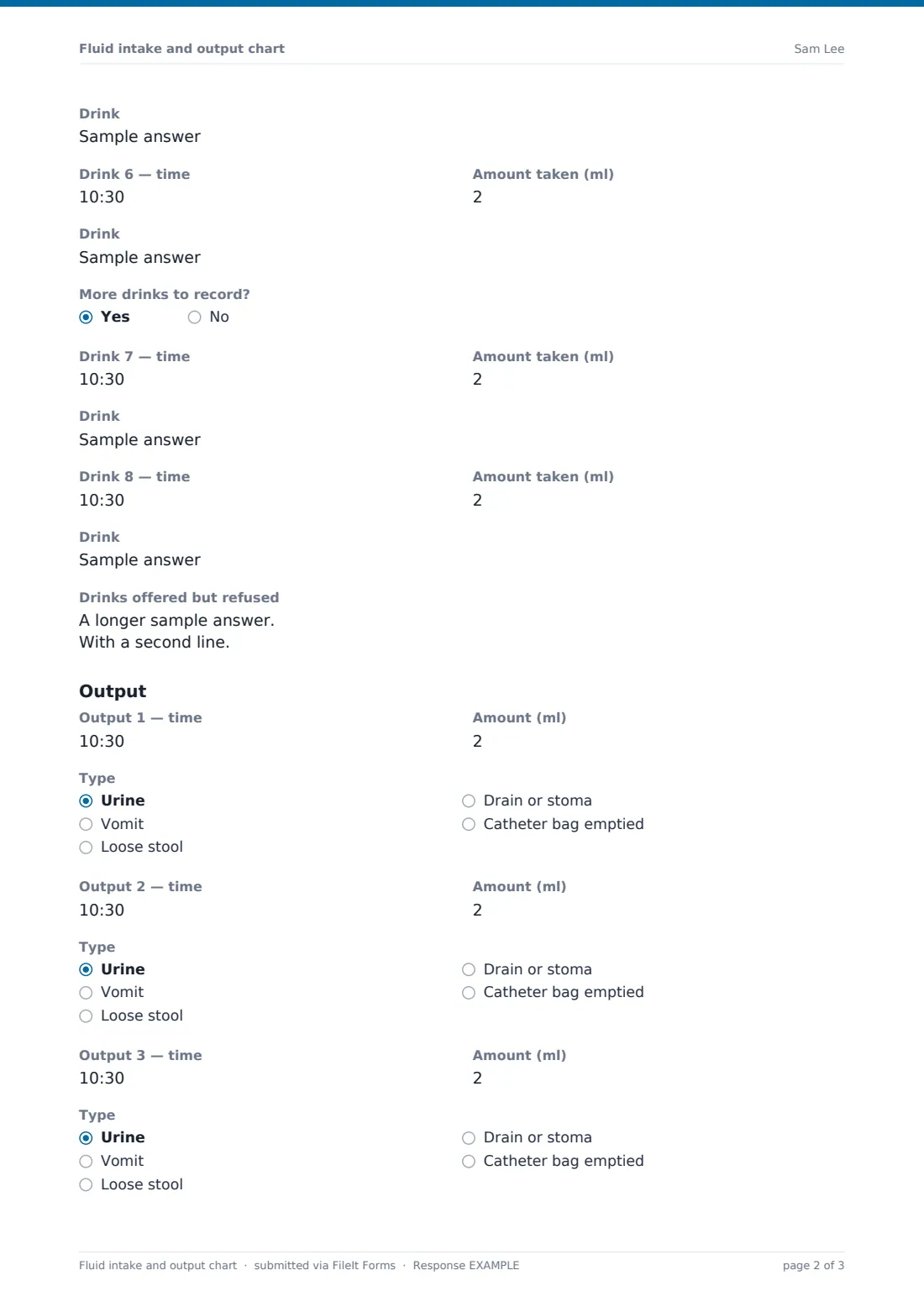Fluid intake and output chart — example response PDF, page 2 of 3
