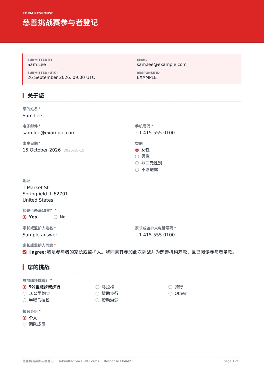 慈善挑战赛参与者登记 — 示例回复 PDF，第 1 页，共 3 页
