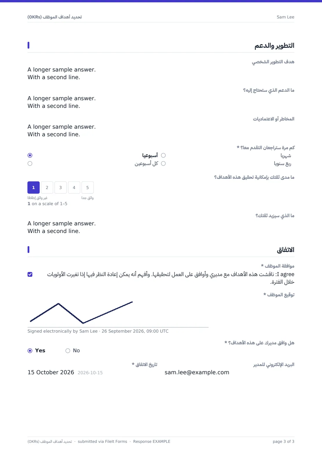 تحديد أهداف الموظف (OKRs) — ملف PDF لرد نموذجي، الصفحة 3 من 3