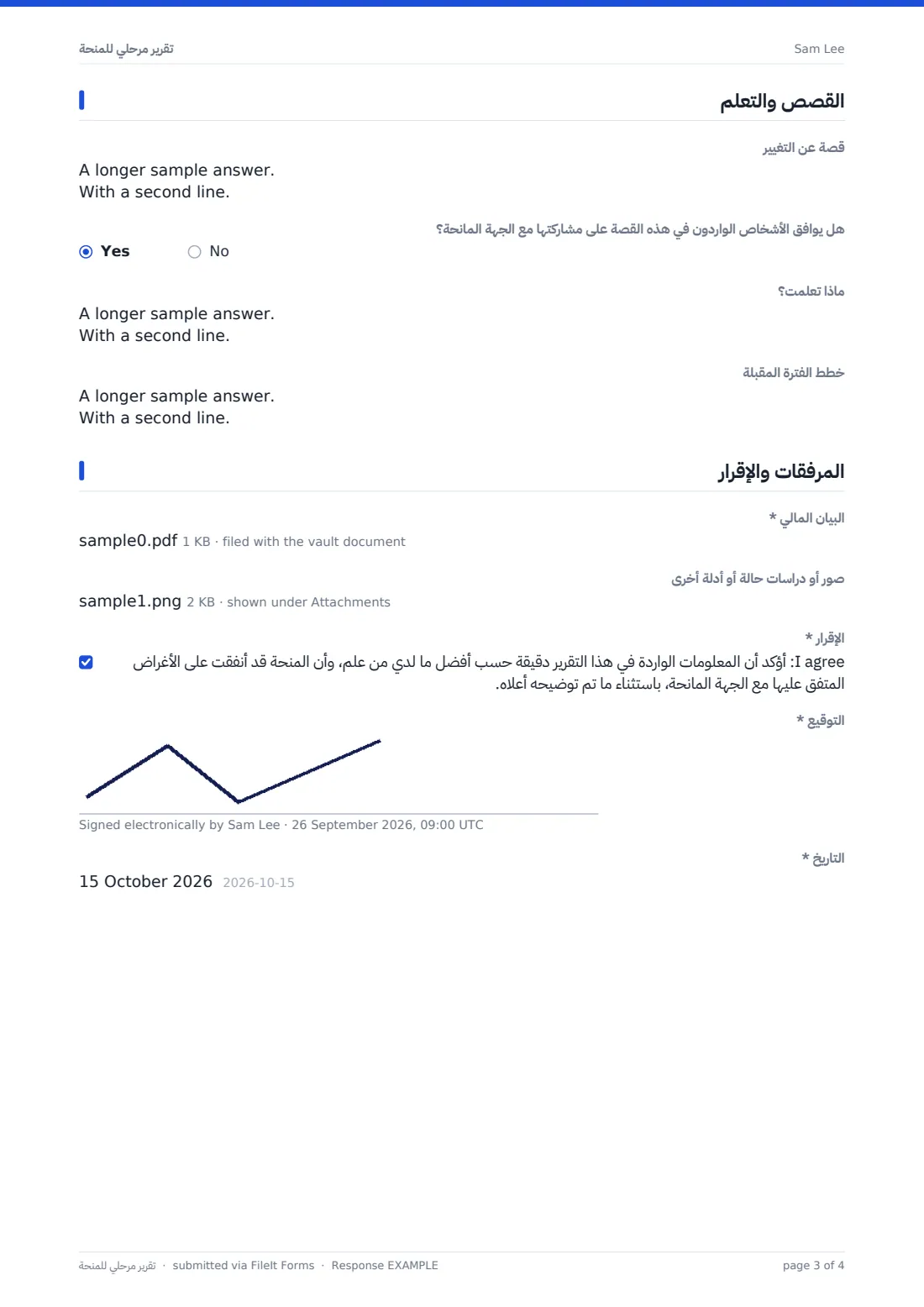 تقرير مرحلي للمنحة — ملف PDF لرد نموذجي، الصفحة 3 من 4