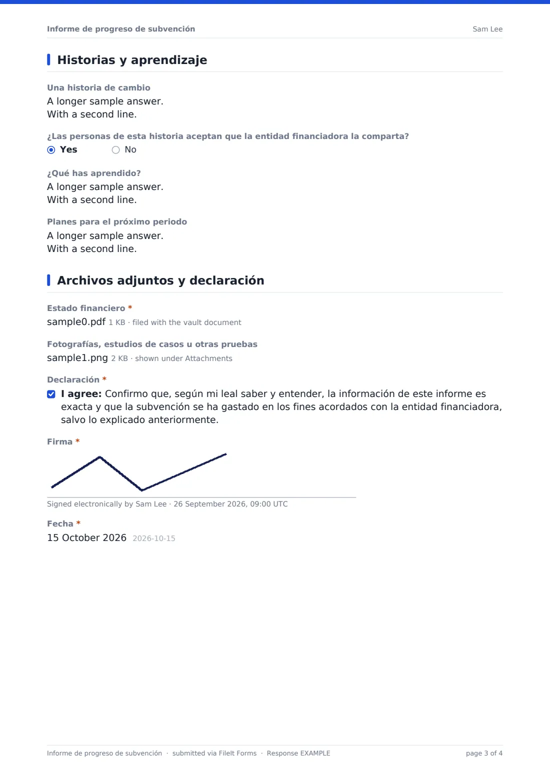 Informe de progreso de subvención — PDF de respuesta de ejemplo, página 3 de 4