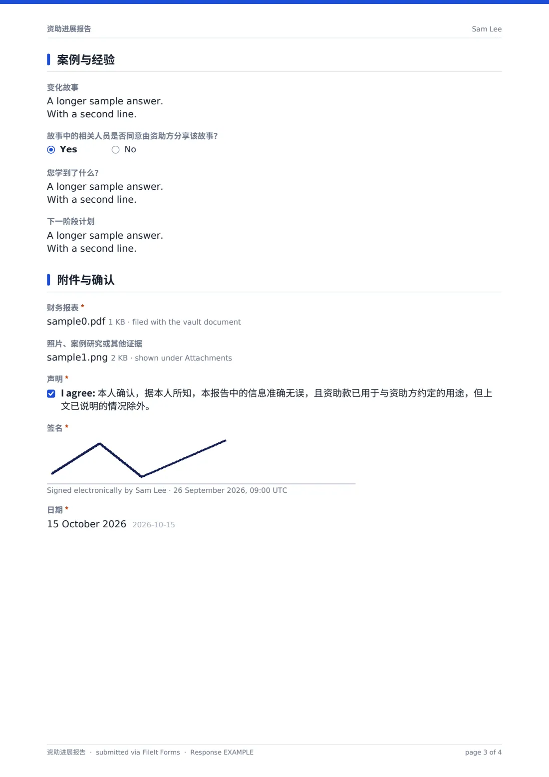 资助进展报告 — 示例回复 PDF，第 3 页，共 4 页