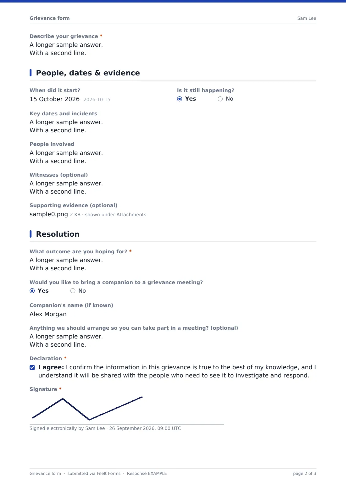Grievance form — example response PDF, page 2 of 3