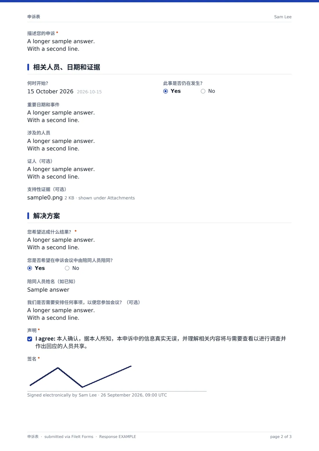 申诉表 — 示例回复 PDF，第 2 页，共 3 页