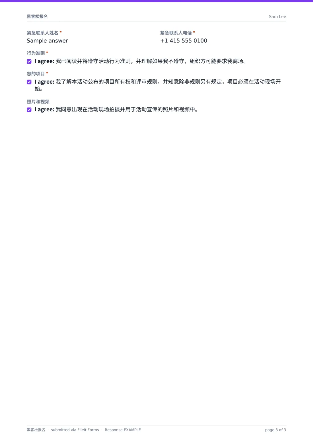 黑客松报名 — 示例回复 PDF，第 3 页，共 3 页