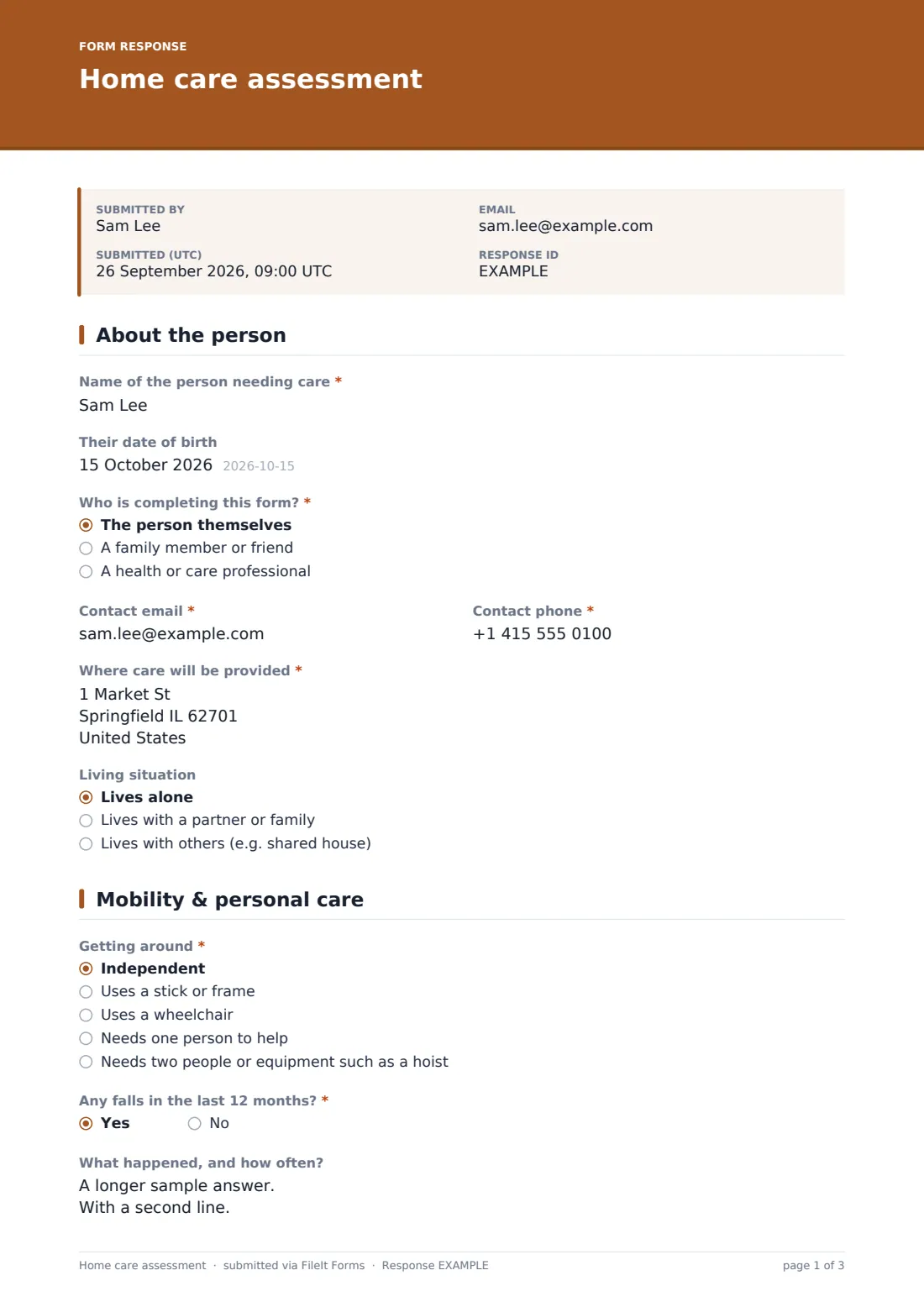 Home care assessment — example response PDF, page 1 of 3