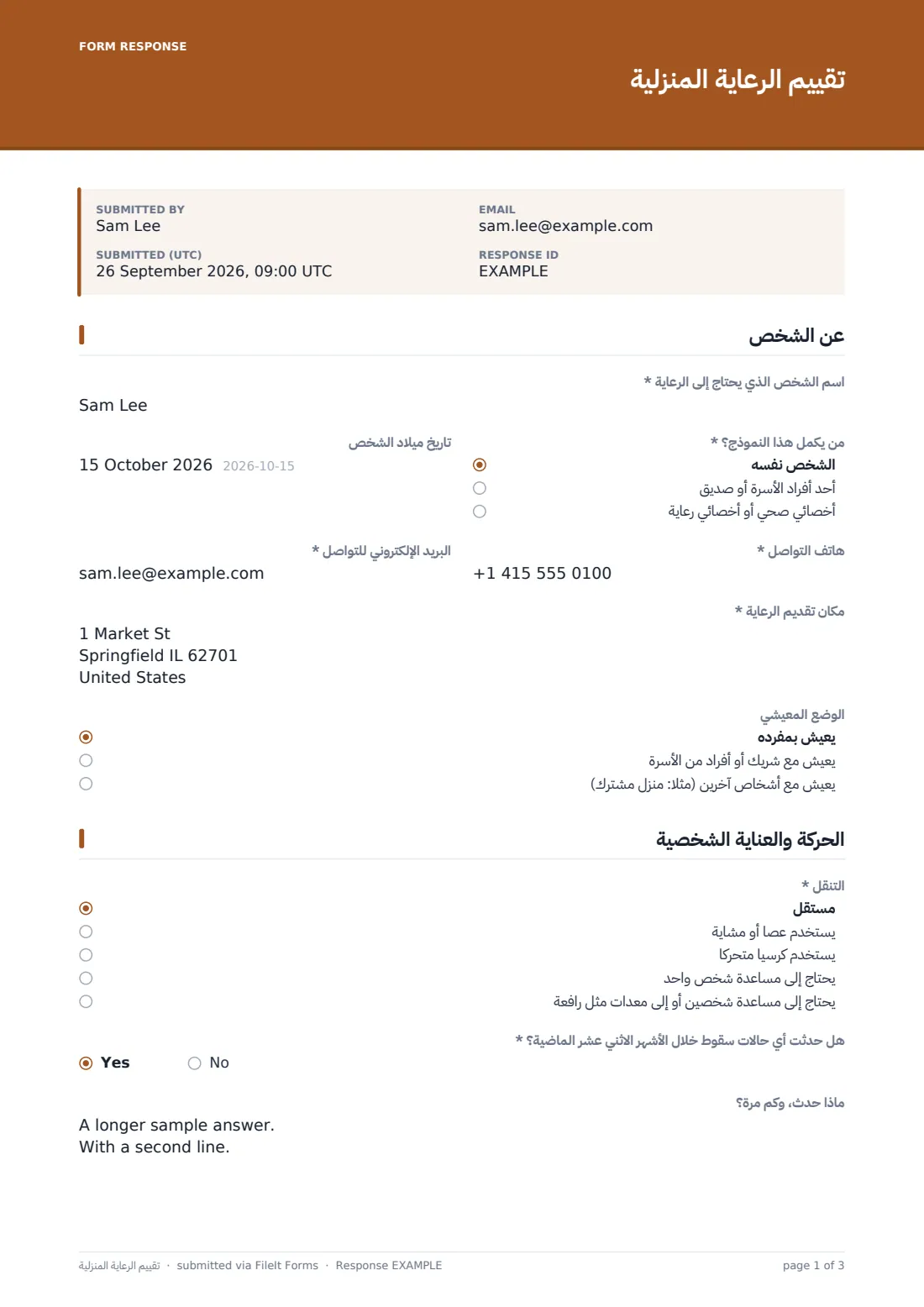 تقييم الرعاية المنزلية — ملف PDF لرد نموذجي، الصفحة 1 من 3