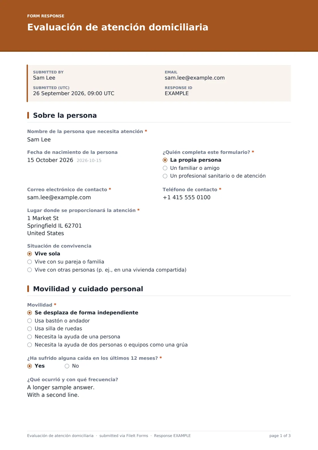 Evaluación de atención domiciliaria — PDF de respuesta de ejemplo, página 1 de 3