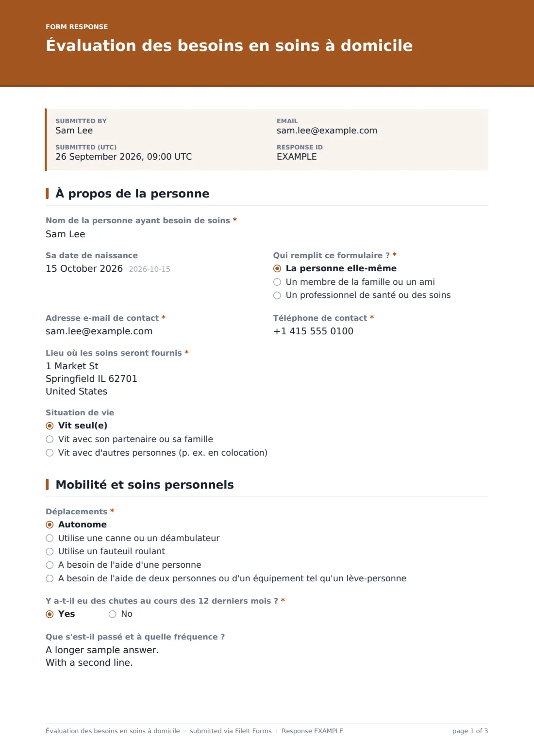 Évaluation des besoins en soins à domicile — exemple de réponse au format PDF, page 1 sur 3