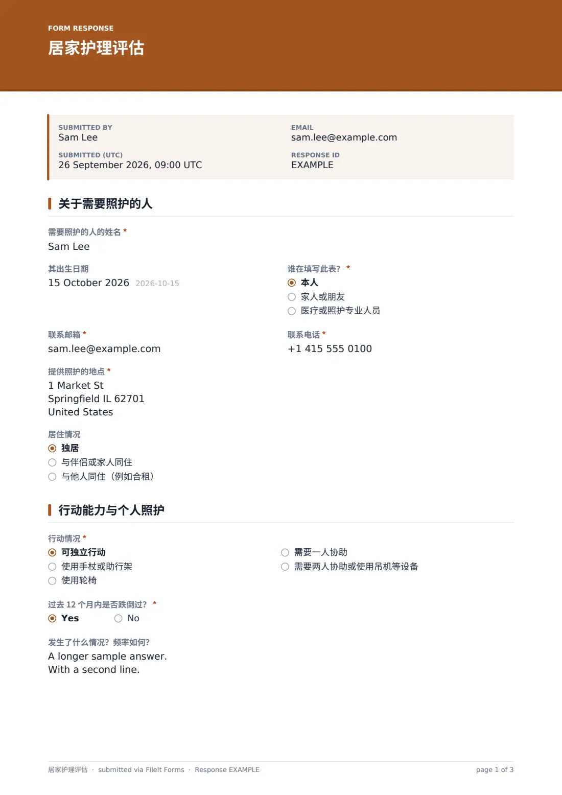 居家护理评估 — 示例回复 PDF，第 1 页，共 3 页