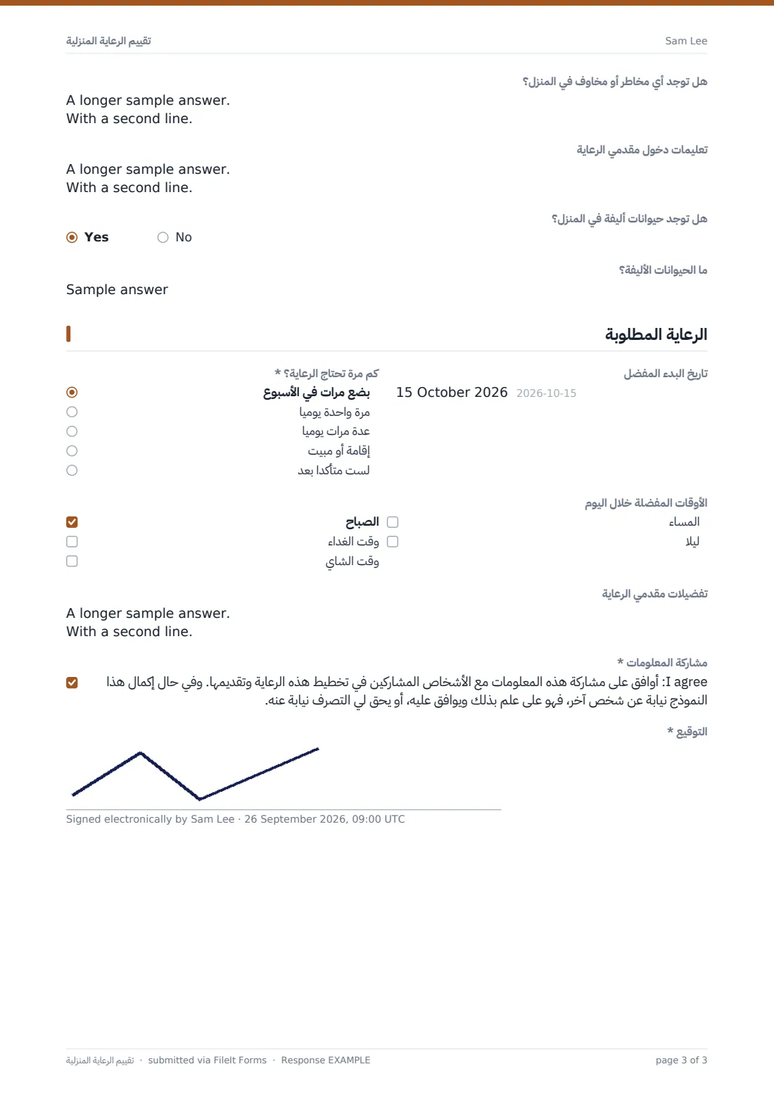 تقييم الرعاية المنزلية — ملف PDF لرد نموذجي، الصفحة 3 من 3