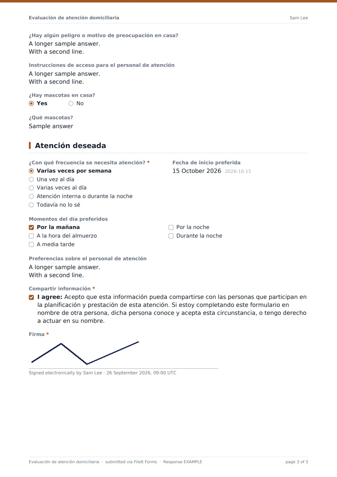 Evaluación de atención domiciliaria — PDF de respuesta de ejemplo, página 3 de 3