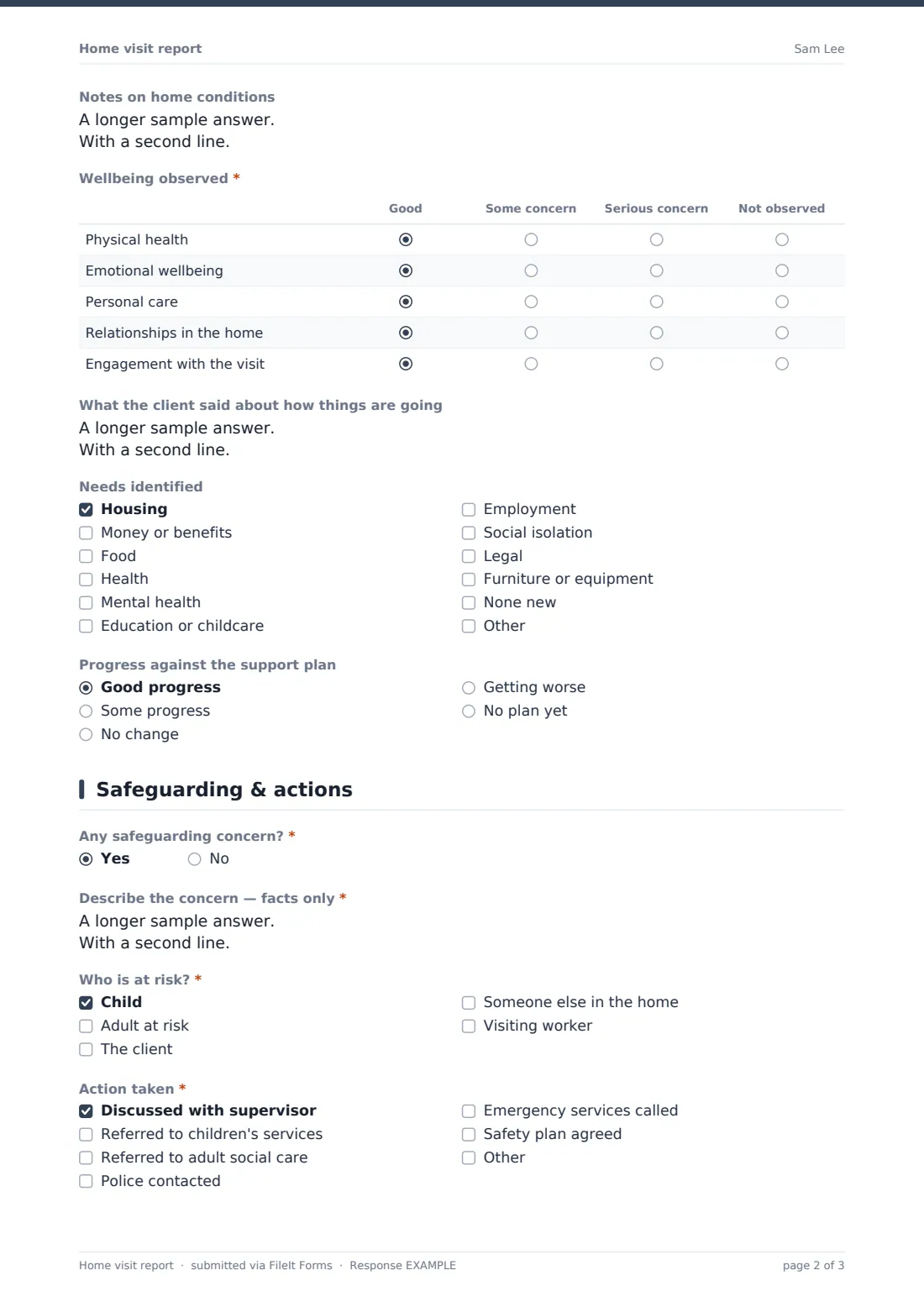 Home visit report — example response PDF, page 2 of 3