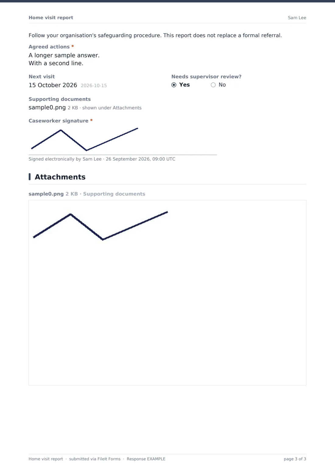 Home visit report — example response PDF, page 3 of 3