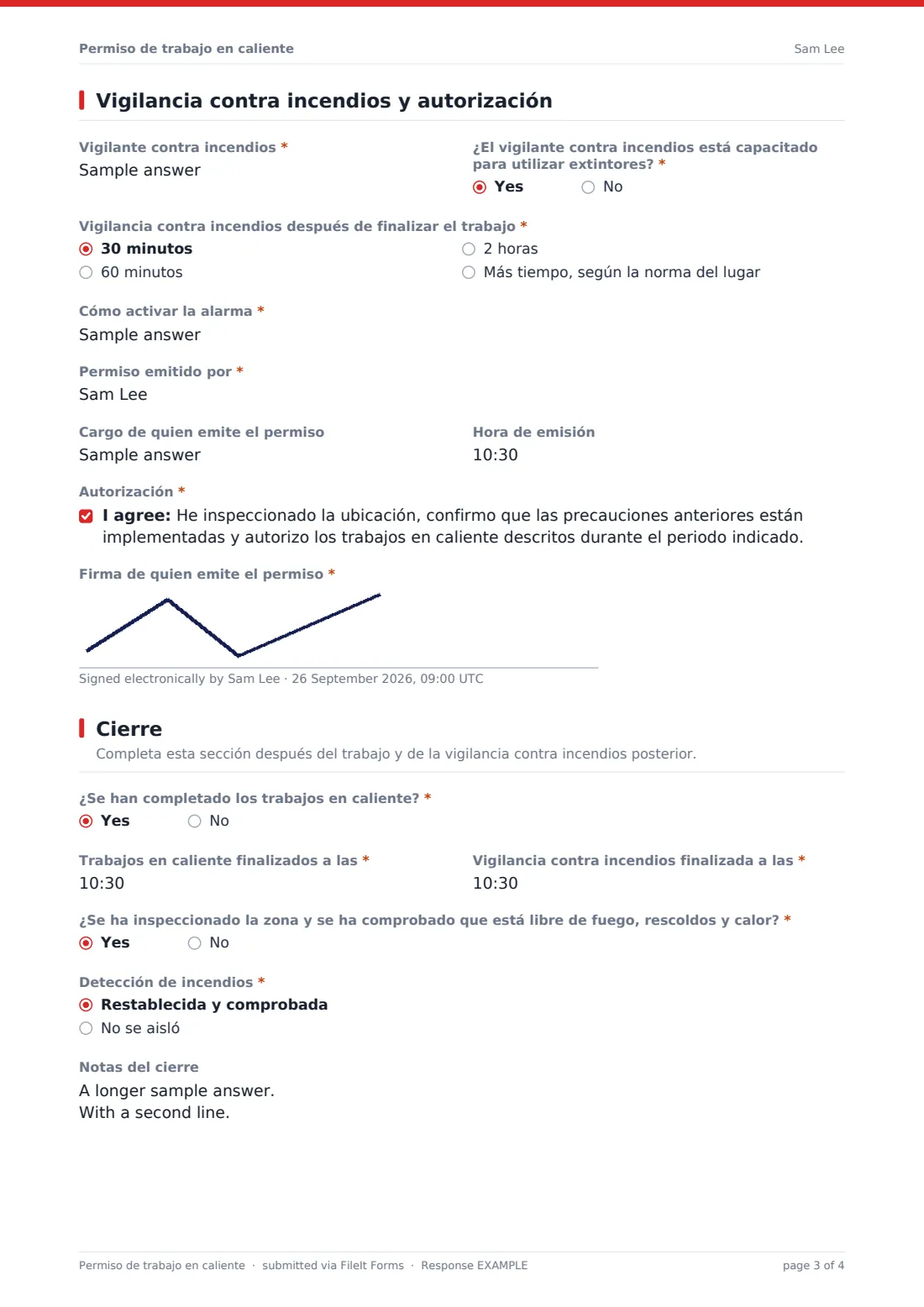 Permiso de trabajo en caliente — PDF de respuesta de ejemplo, página 3 de 4