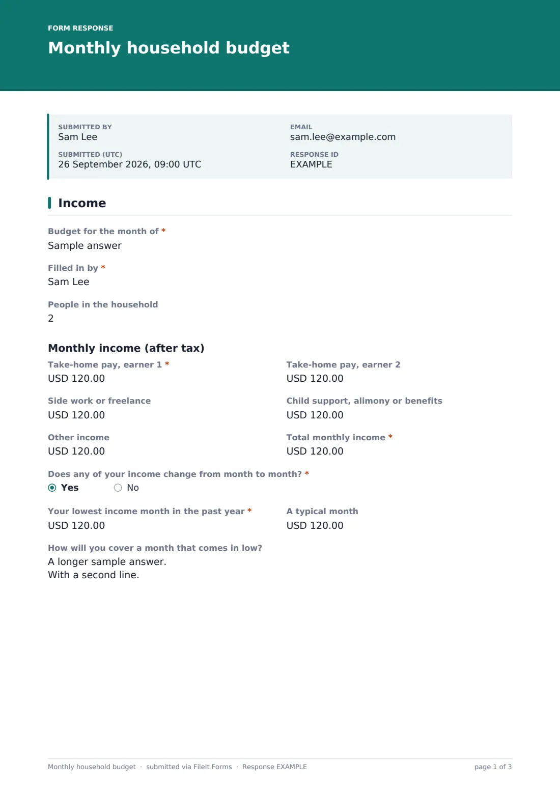 Monthly household budget — example response PDF, page 1 of 3