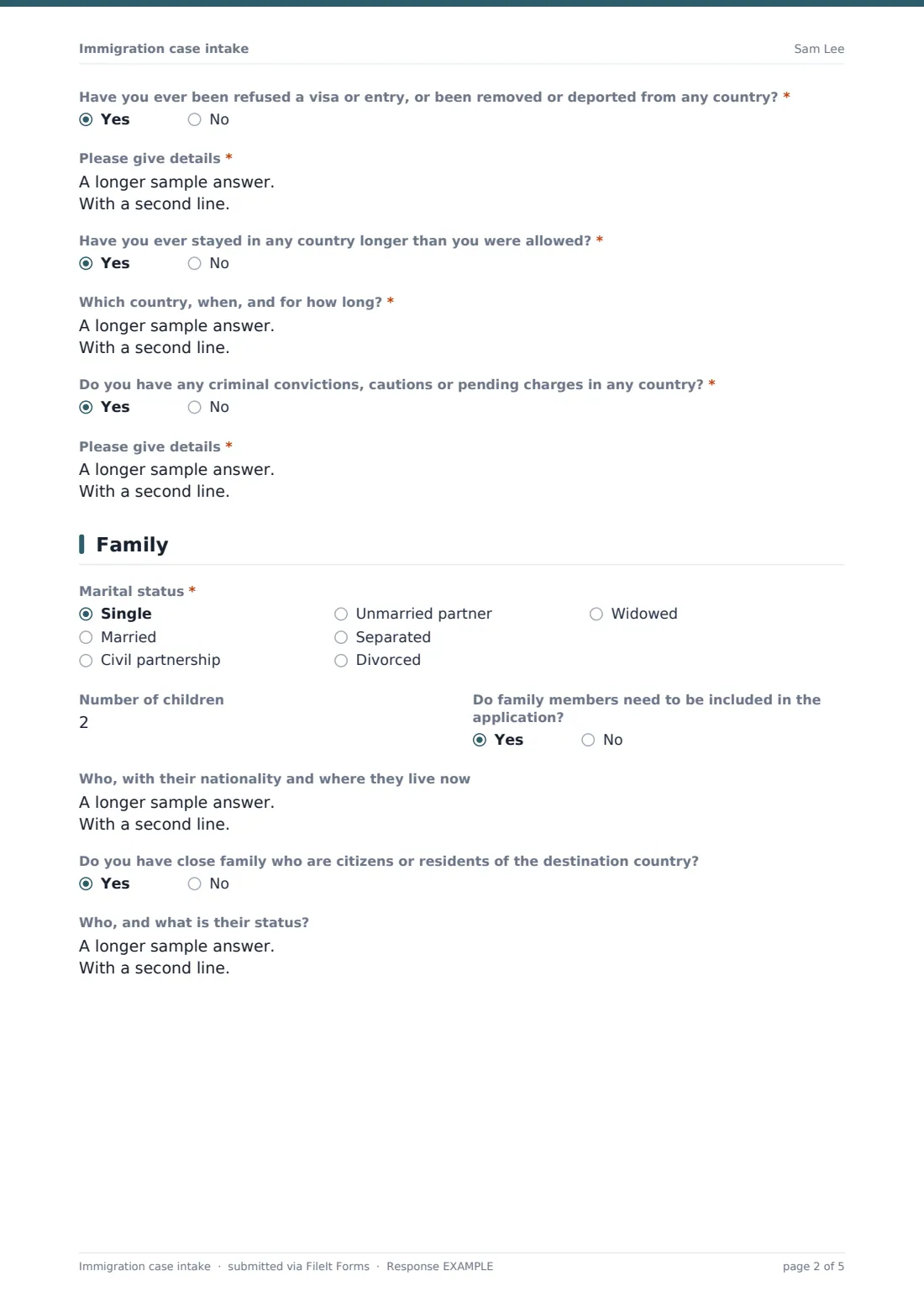 Immigration case intake — example response PDF, page 2 of 5