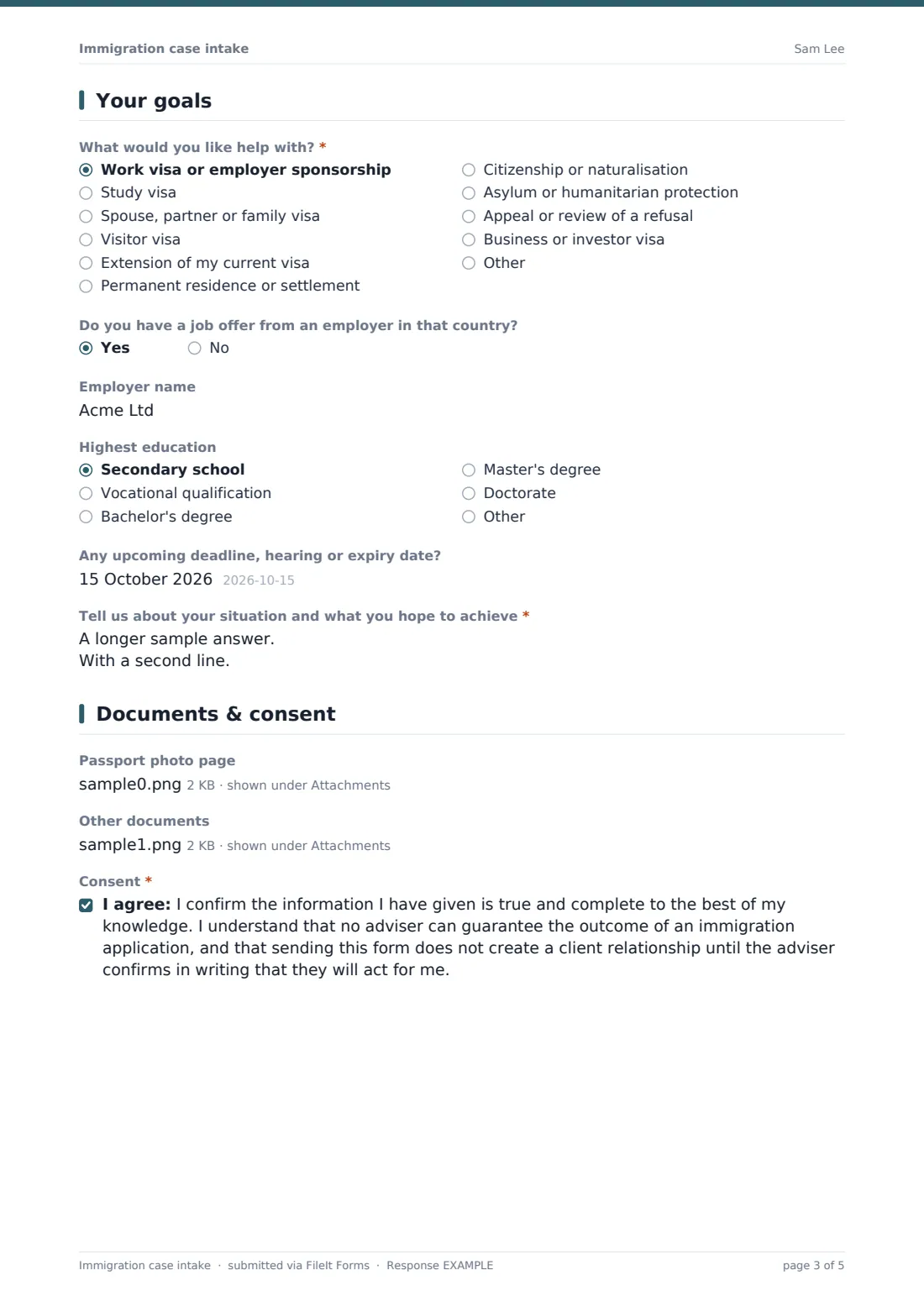 Immigration case intake — example response PDF, page 3 of 5