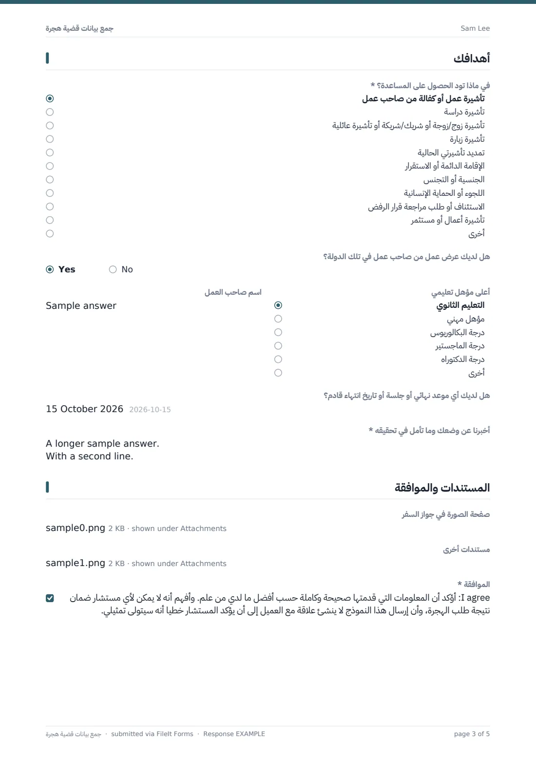 جمع بيانات قضية هجرة — ملف PDF لرد نموذجي، الصفحة 3 من 5