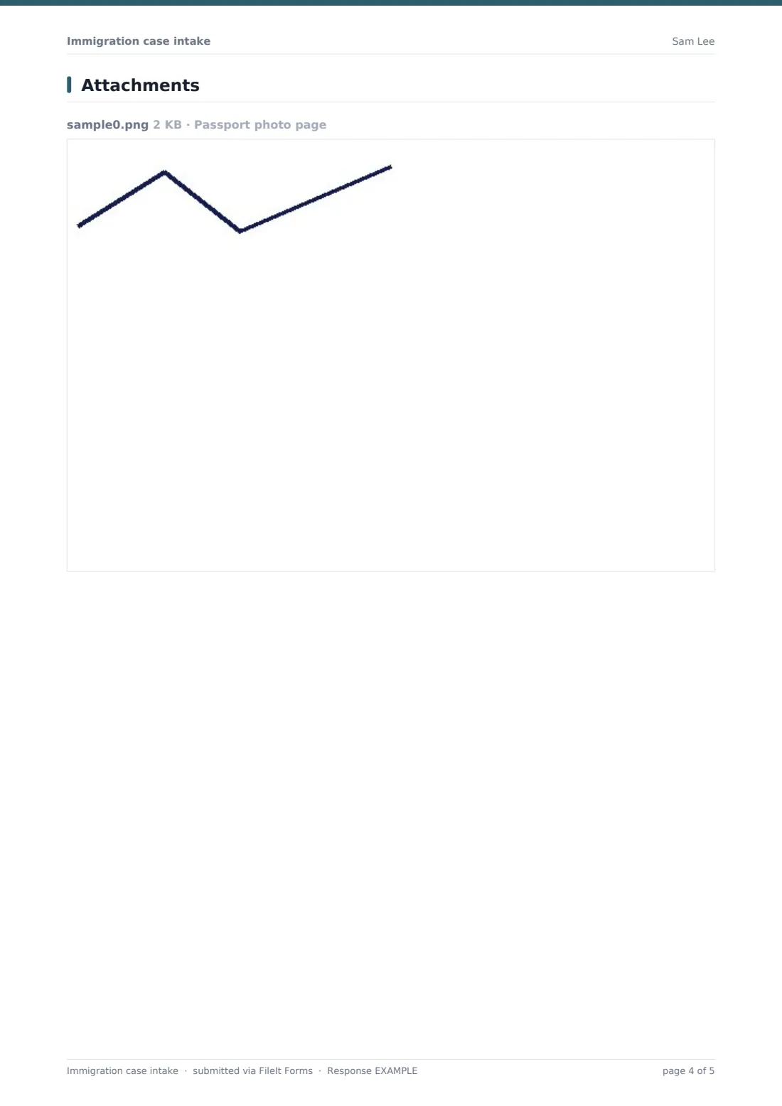 Immigration case intake — example response PDF, page 4 of 5
