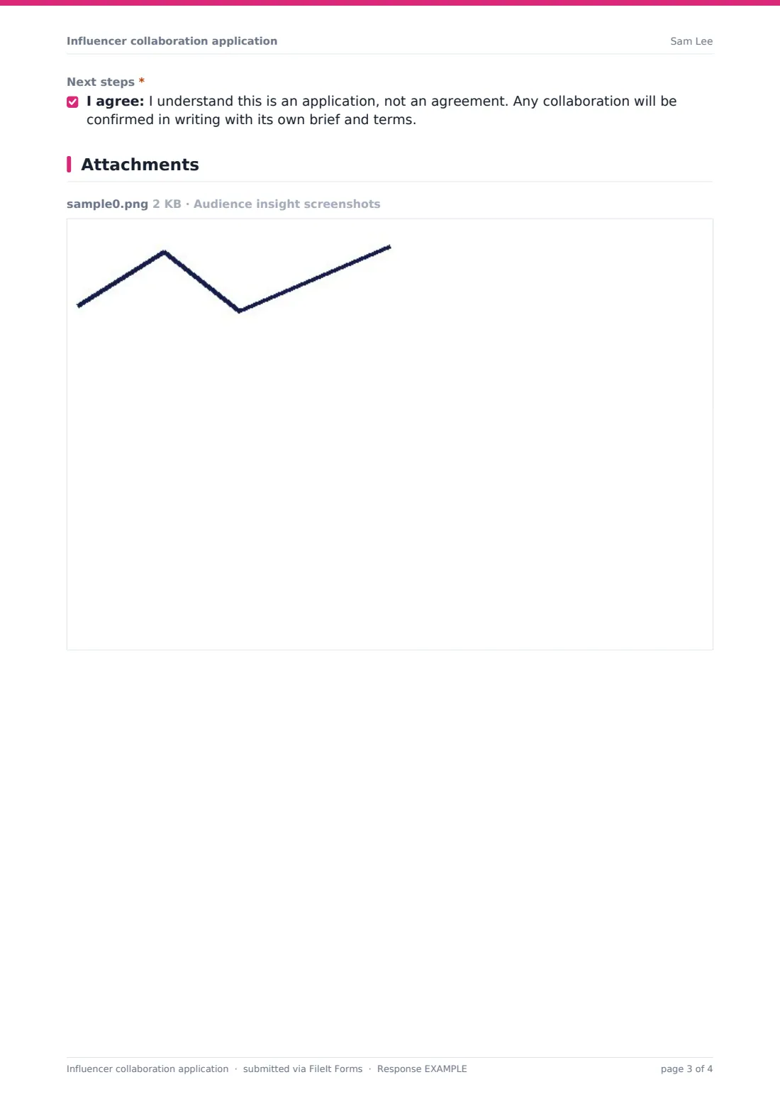 Influencer collaboration application — example response PDF, page 3 of 4