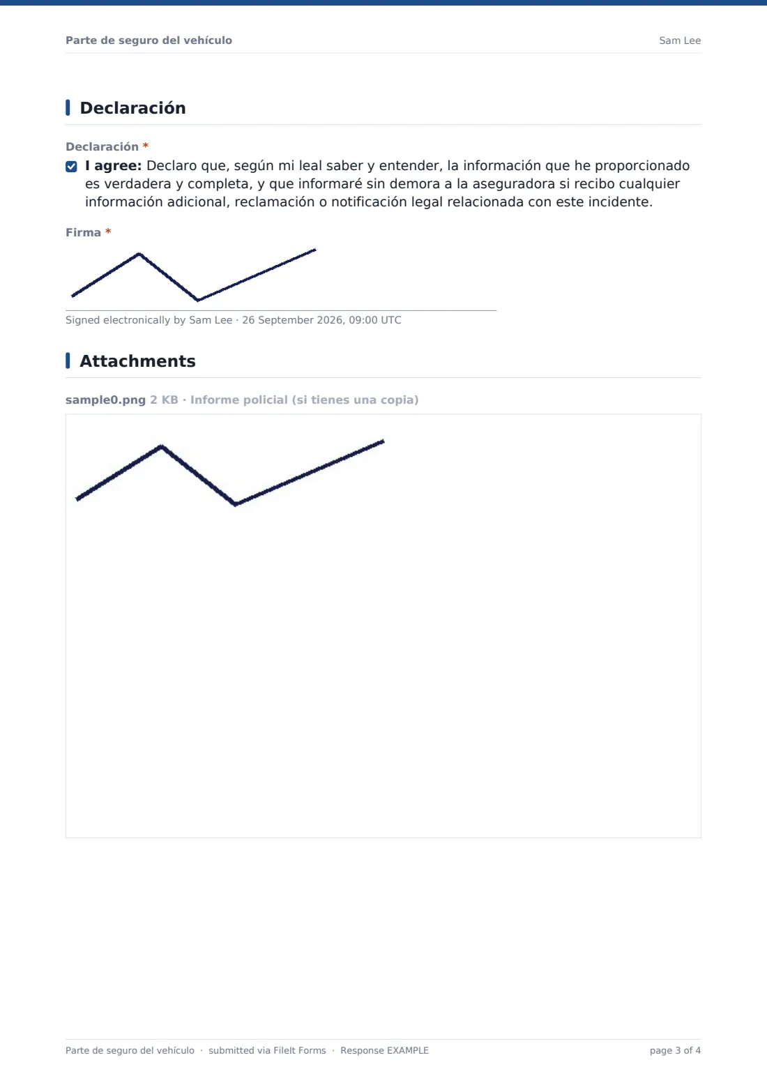Parte de seguro del vehículo — PDF de respuesta de ejemplo, página 3 de 4