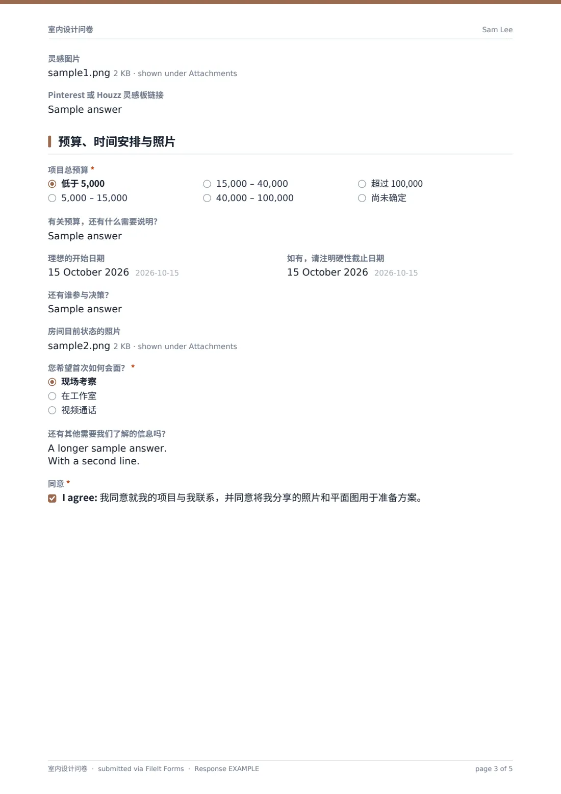室内设计问卷 — 示例回复 PDF，第 3 页，共 5 页