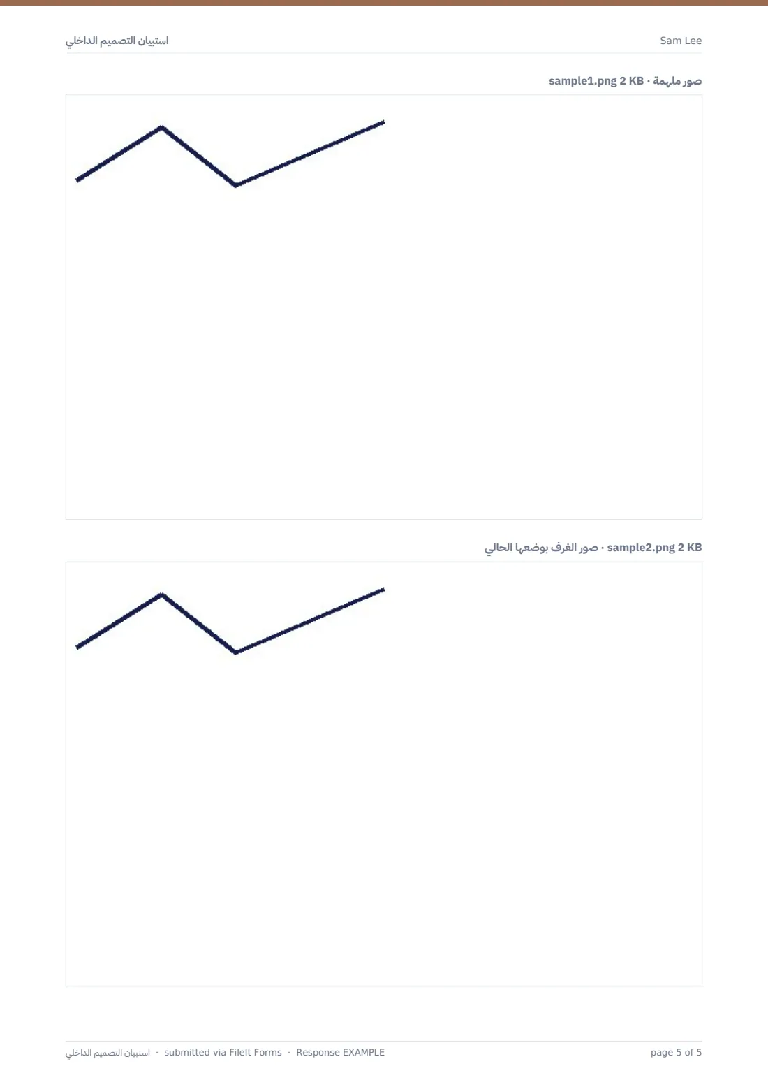 استبيان التصميم الداخلي — ملف PDF لرد نموذجي، الصفحة 5 من 5