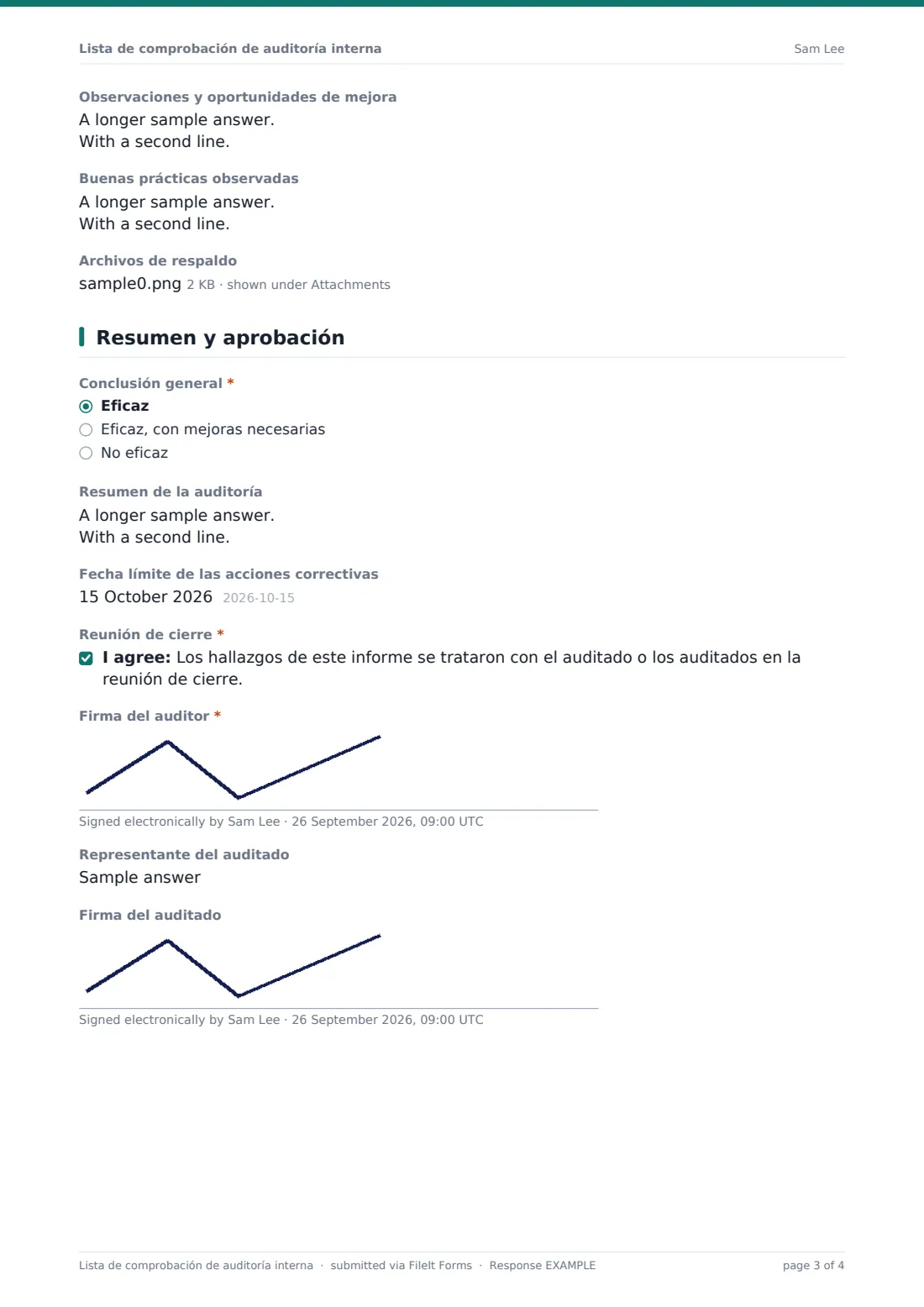 Lista de comprobación de auditoría interna — PDF de respuesta de ejemplo, página 3 de 4