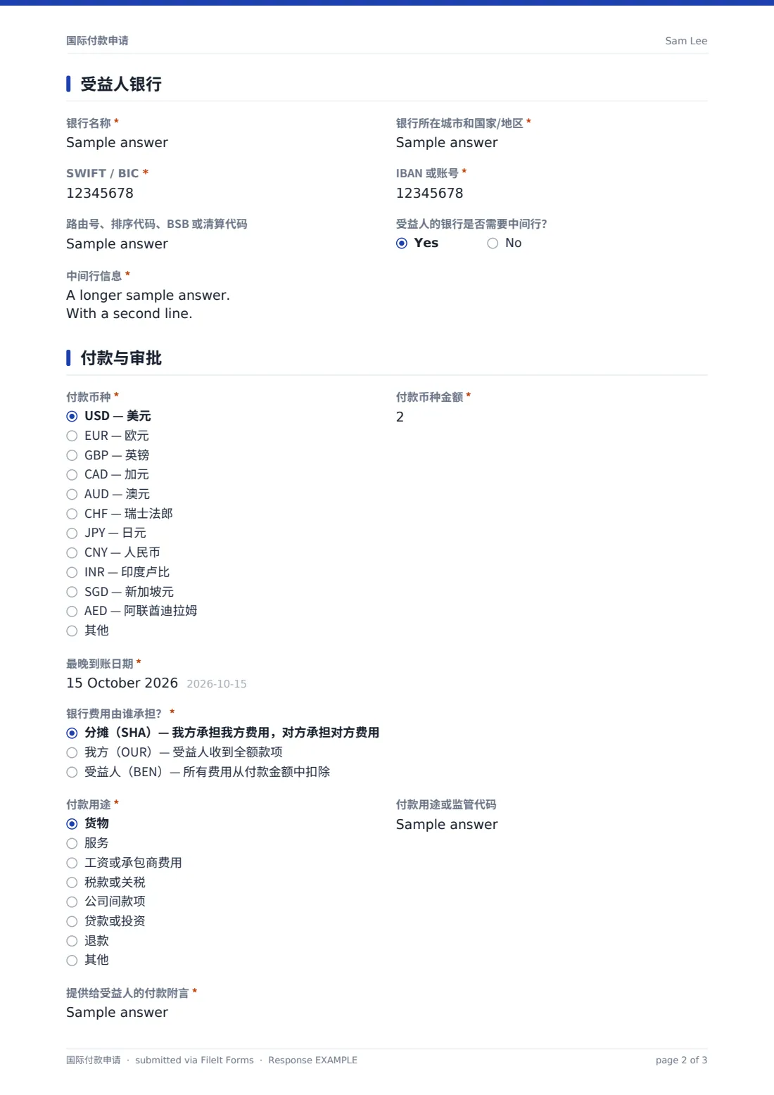 国际付款申请 — 示例回复 PDF，第 2 页，共 3 页