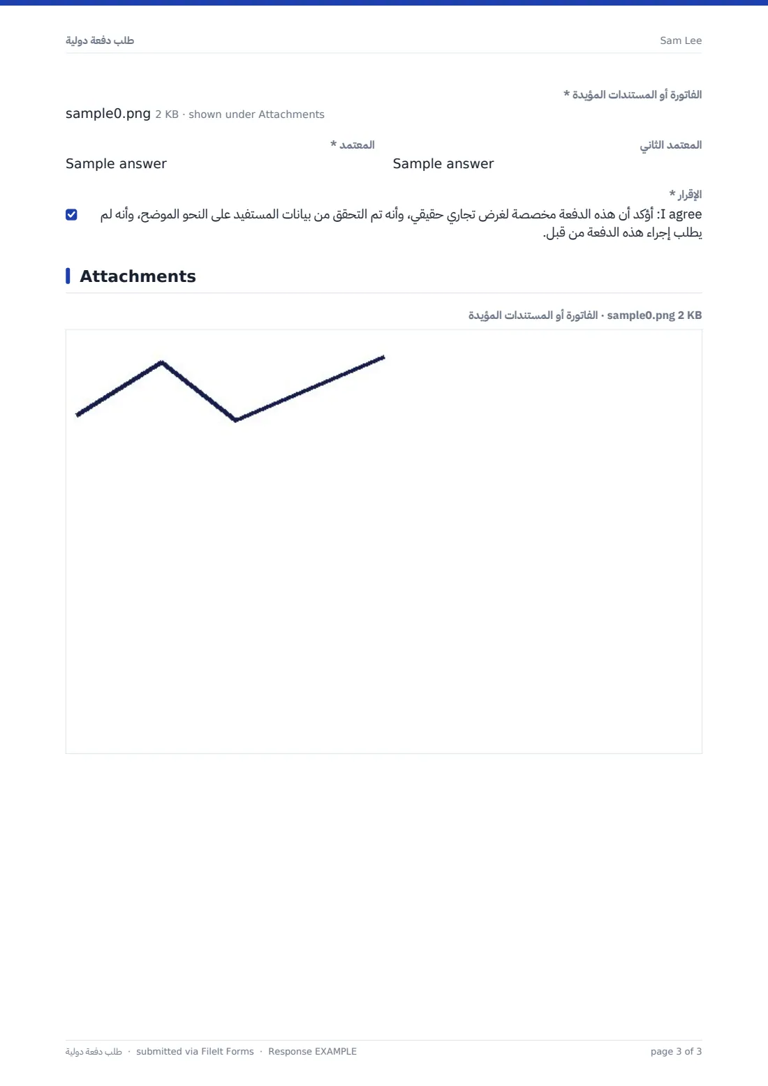 طلب دفعة دولية — ملف PDF لرد نموذجي، الصفحة 3 من 3