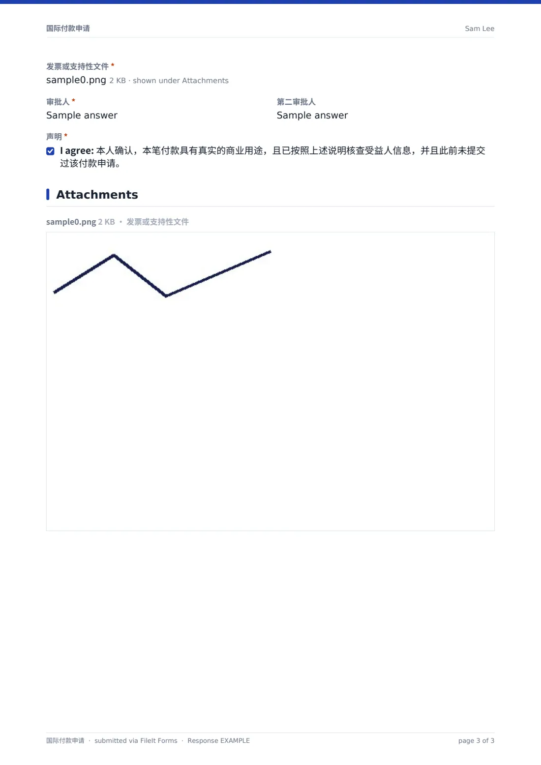 国际付款申请 — 示例回复 PDF，第 3 页，共 3 页