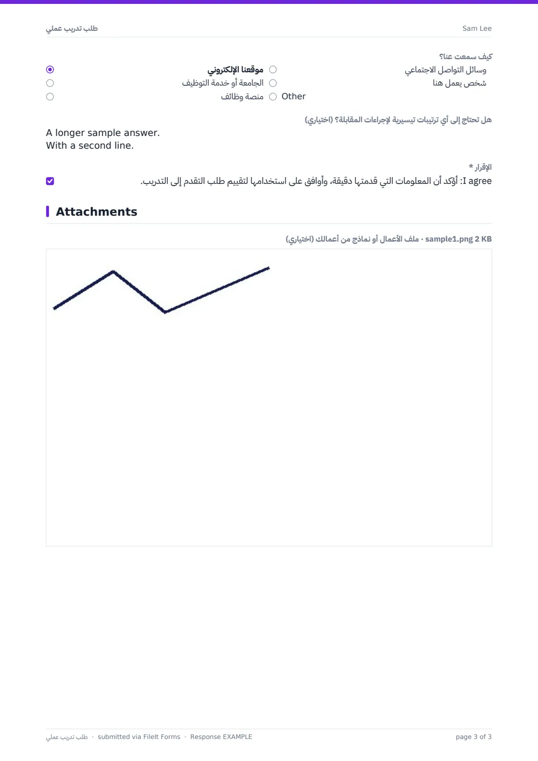 طلب تدريب عملي — ملف PDF لرد نموذجي، الصفحة 3 من 3