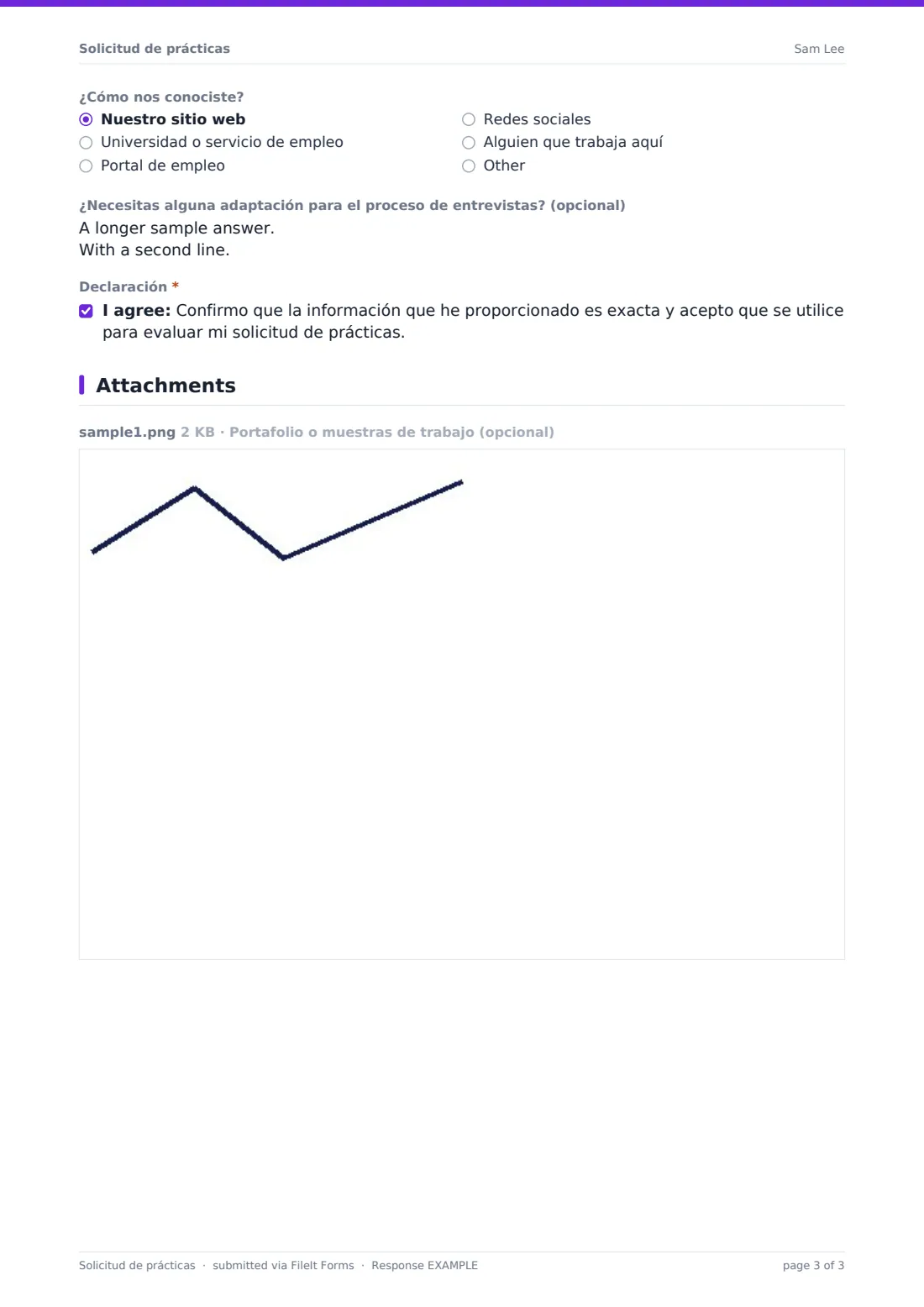 Solicitud de prácticas — PDF de respuesta de ejemplo, página 3 de 3
