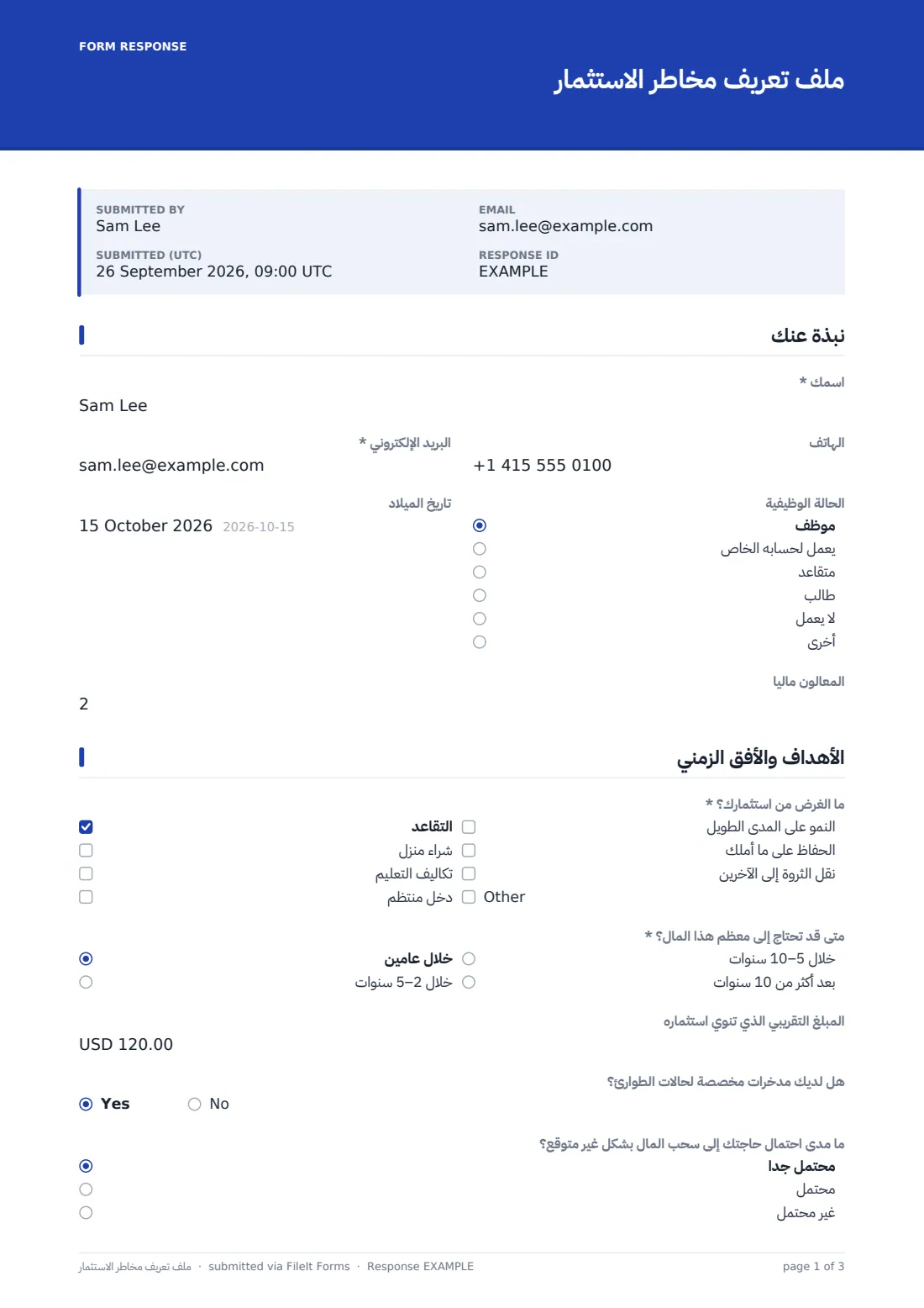 ملف تعريف مخاطر الاستثمار — ملف PDF لرد نموذجي، الصفحة 1 من 3