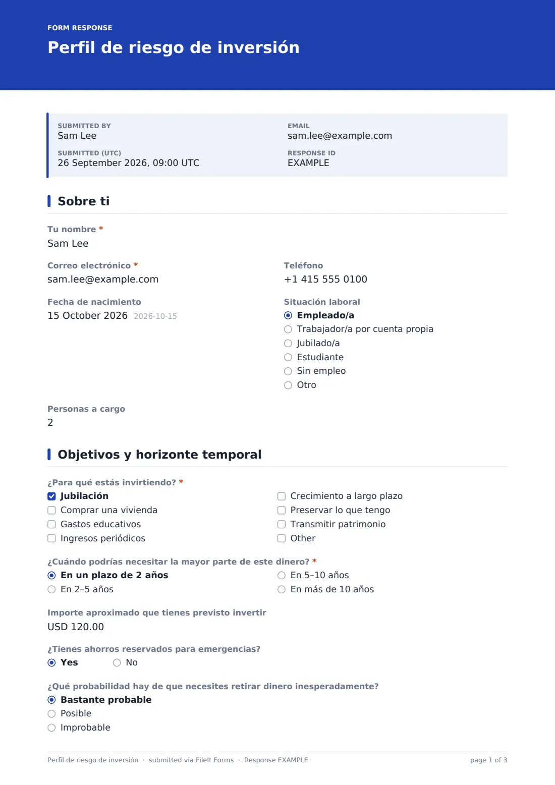 Perfil de riesgo de inversión — PDF de respuesta de ejemplo, página 1 de 3