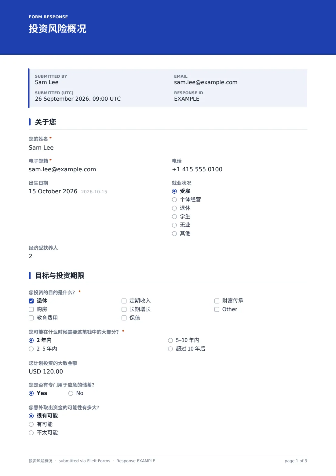 投资风险概况 — 示例回复 PDF，第 1 页，共 3 页