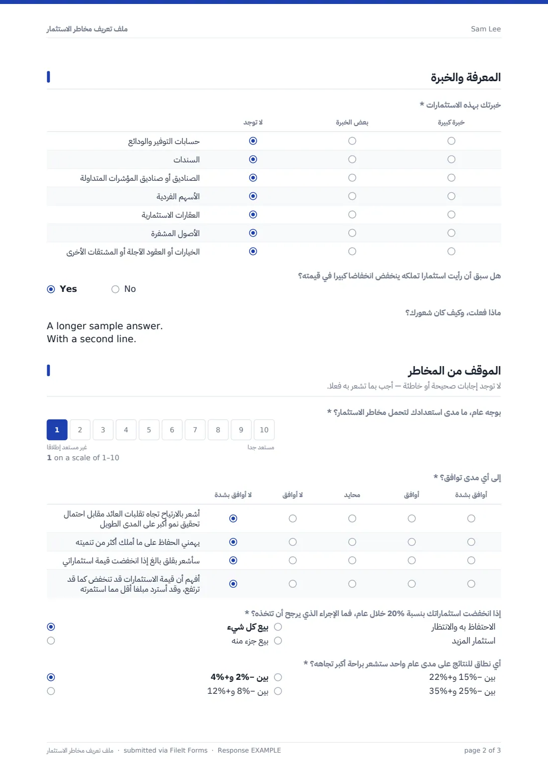 ملف تعريف مخاطر الاستثمار — ملف PDF لرد نموذجي، الصفحة 2 من 3