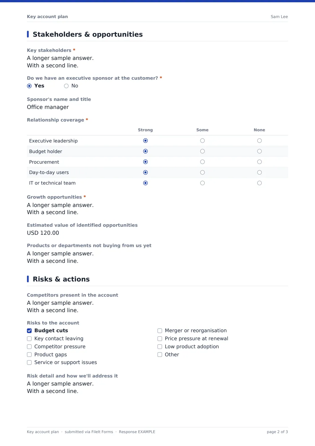 Key account plan — example response PDF, page 2 of 3